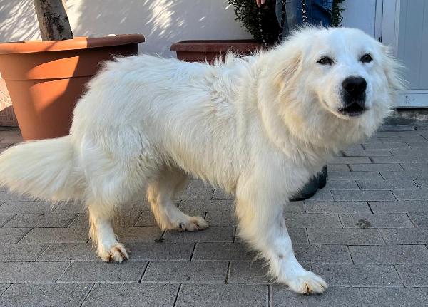 CHIARA MAREMMANA Foto 4